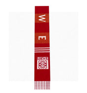 LOEWE 25S SCARF 190 IN CASHMERE 856522