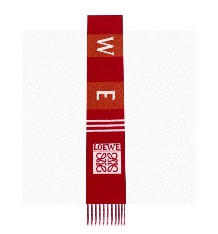 LOEWE 25S SCARF 190 IN CASHMERE 856522